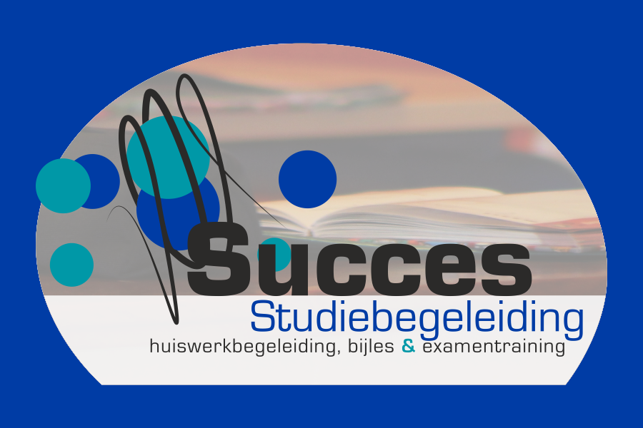 Succes Studiebegeleiding